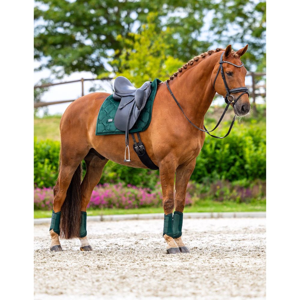 Equestrian Stockholm koolisõiduvaltrap Sycamore Green - Tumeroheline