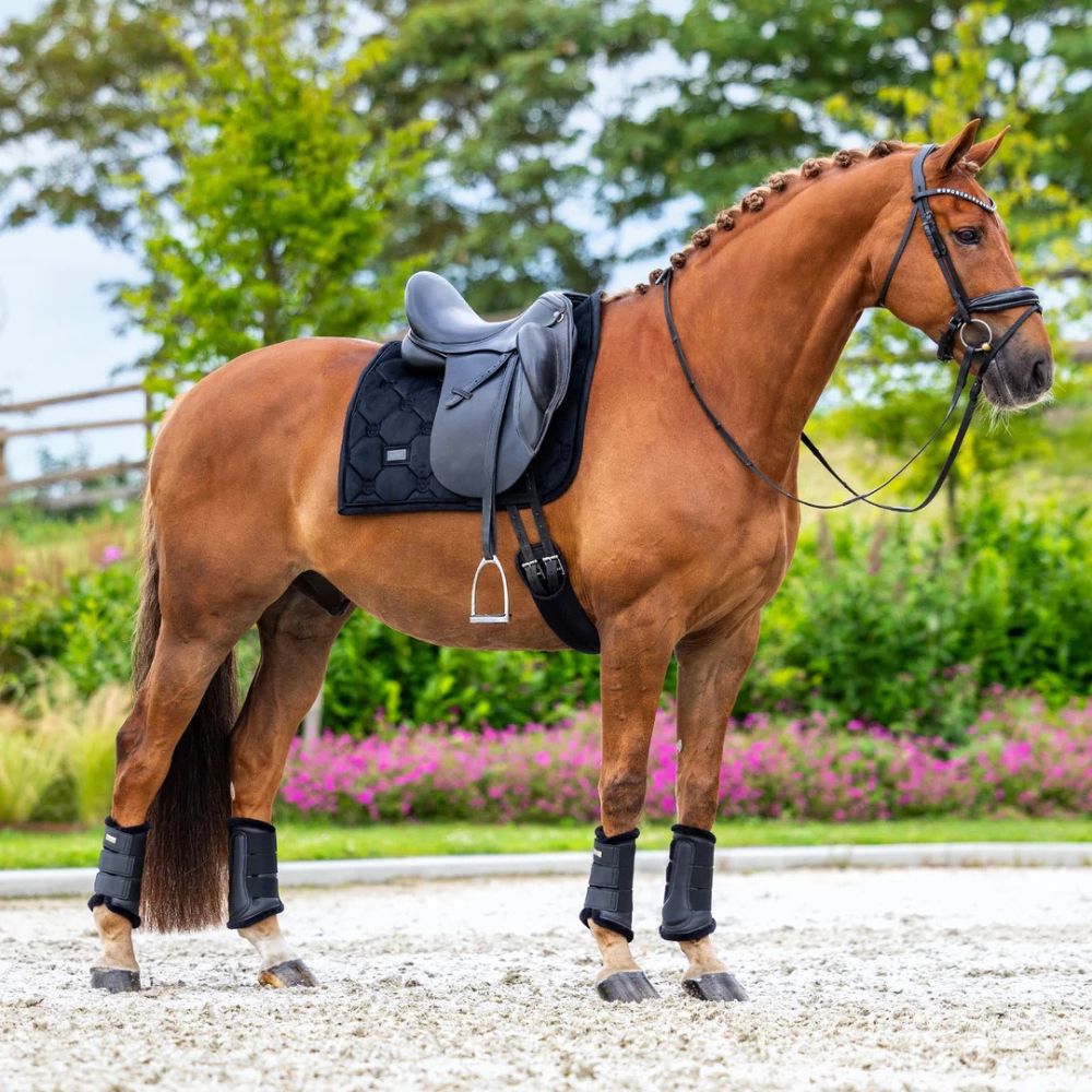 Equestrian Stockholm koolisõiduvaltrap Velvet Black