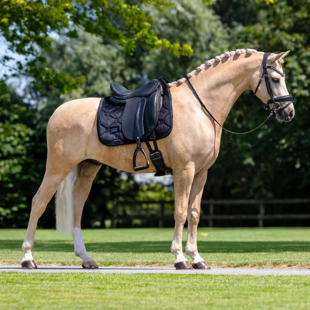 Equestrian Stockholm koolisõiduvaltrap Velvet Black Cob