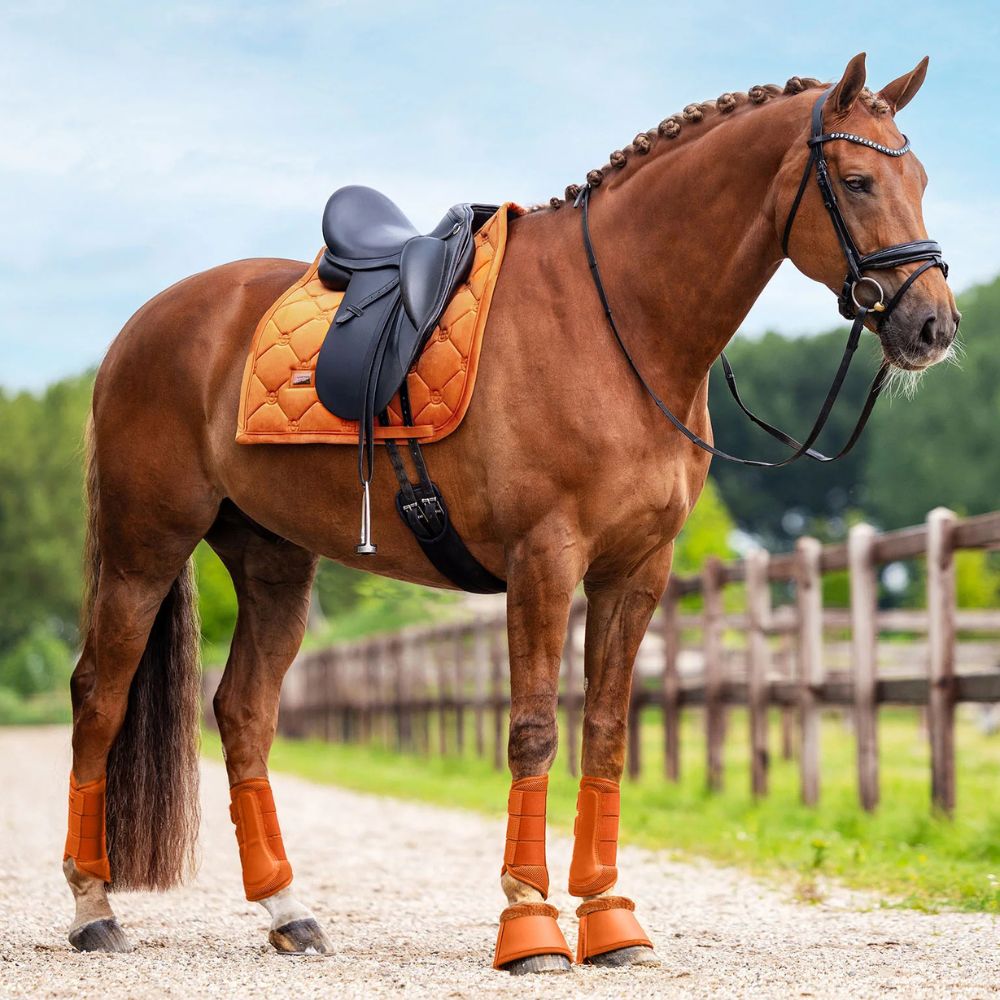Equestrian Stockholm koolisõiduvaltrap Velvet_kaitsmed Mesh_kalossid Chestnut oranz