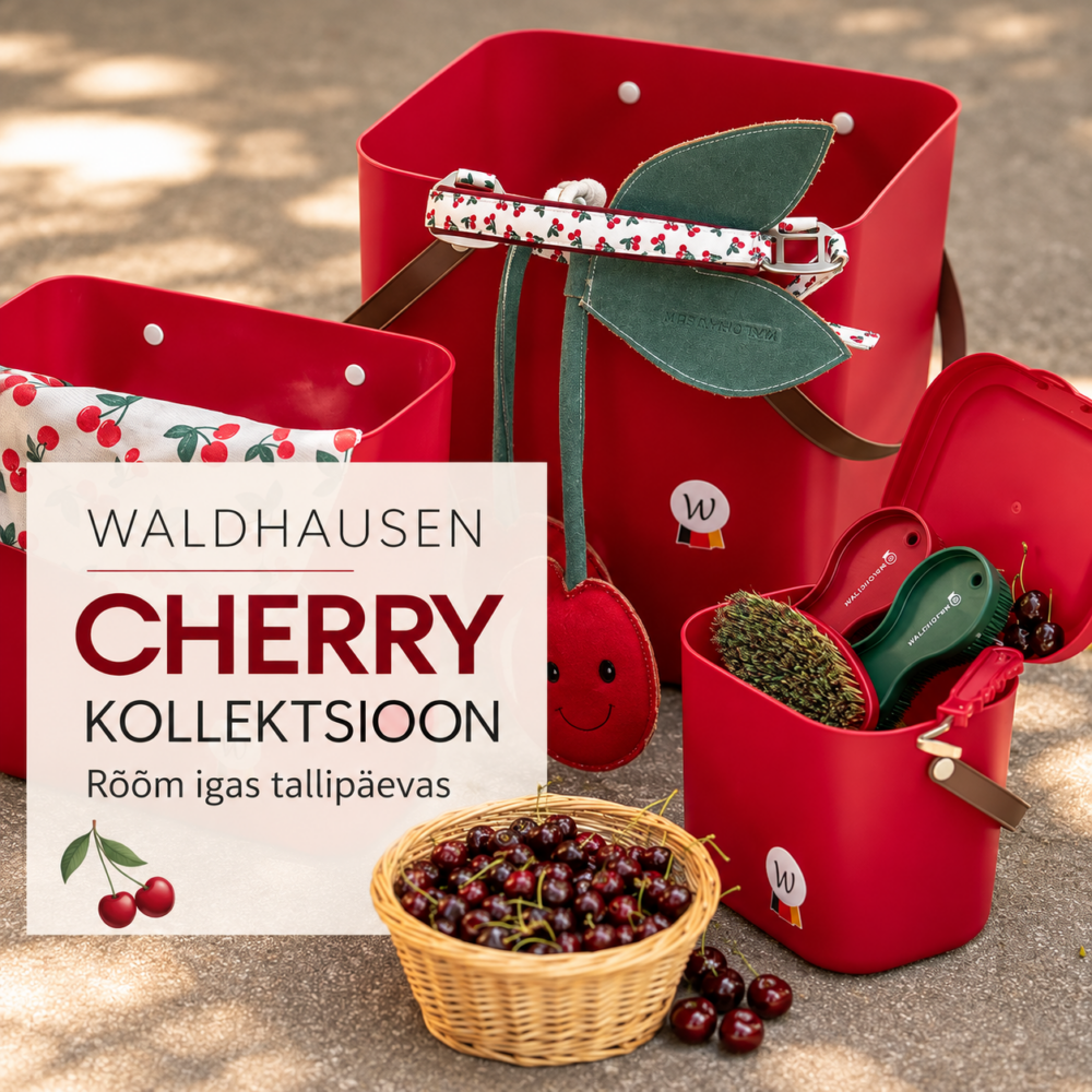 Desktop esilehe banner Cherry