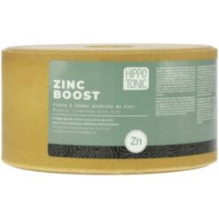 Hippotonic soolakivi Zinc Boost