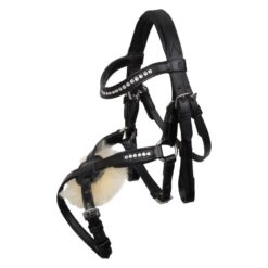 Imperial Riding kepphobuse valjad Free Spirit - Must
