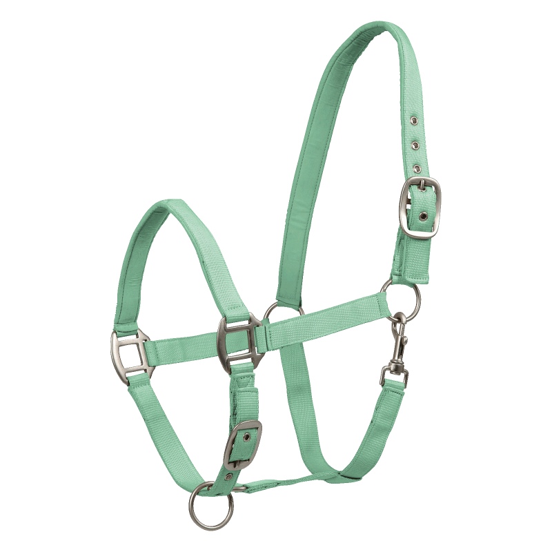 Waldhausen päitsed Satin - Erkroheline