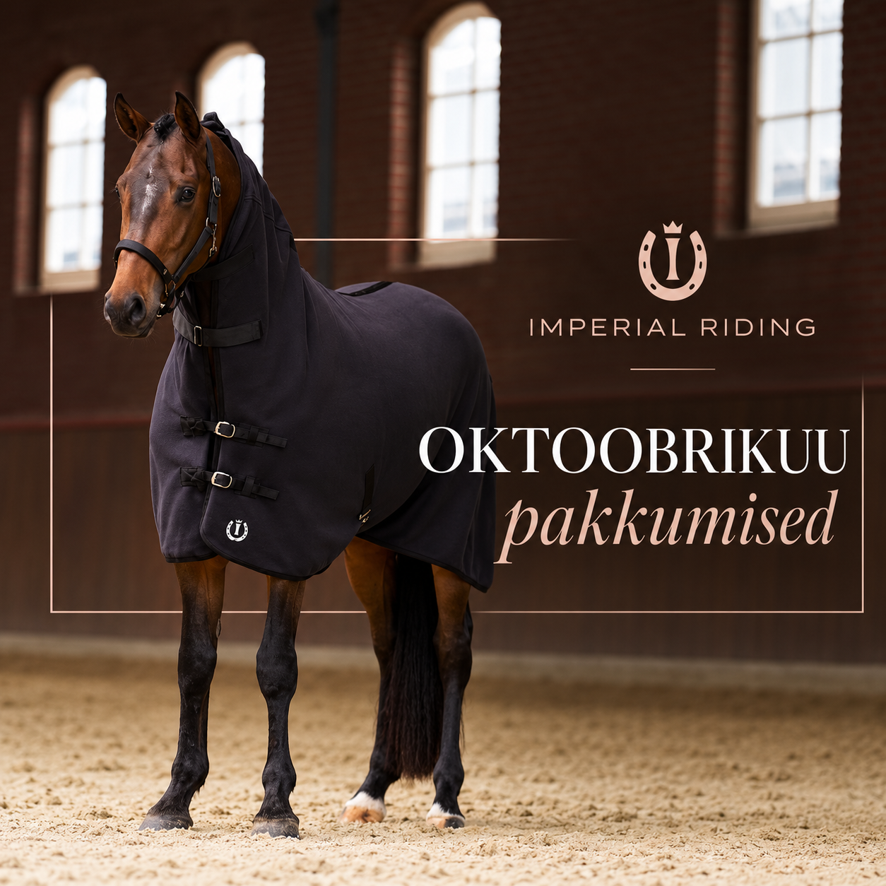 Esilehe banner Imperial Riding oktoobri pakkumised