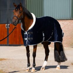 HV Polo talvine showtekk Sacha 420D ponidele - Tumesinine